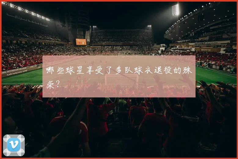 哪些球星享受了多队球衣退役的殊荣?